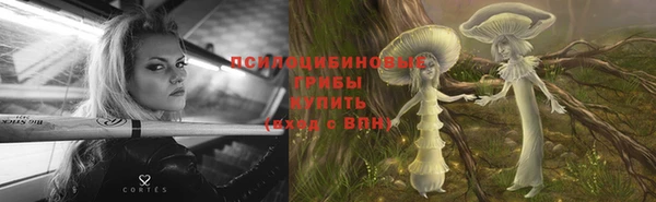 молекула духа Алексин