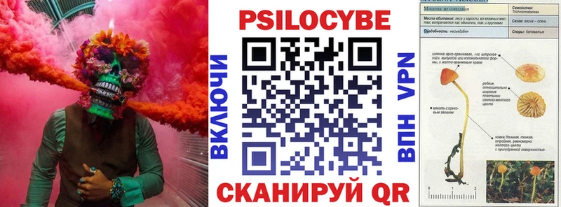 даркнет какой сайт Апрелевка Псилоцибиновые грибы Cubensis
